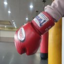 수원복싱체육관 | 수원 복싱 장안문 수원체육관 체험 후기