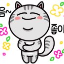 디미아뷰티 네이버블로그