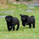 올림푸스원 이미지