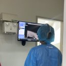 김현태김동민 동물의료센터 이미지