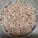 사하구 홍티로 이미지