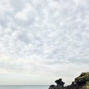 용두암 관광안내소 | 제주공항 근처 가볼만한곳 제주 용두암 2026년 4월 방문 후기 15년 단골의 솔직 리뷰
