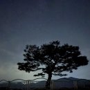 현대 사원아파트 앞 공원 | 5월. 별 구경, 절 구경, 일히절희 세상 구경 중ㅋ