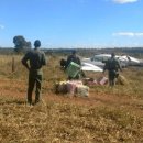 이륙농장 이미지