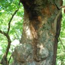 호암프라자 이미지