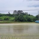 투야모텔 이미지