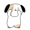그랜드동물병원 이미지