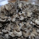 태미농장 이미지