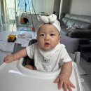 대복한우농장 | 유기농방목마켓 유기농 한우로 돌아기 유아식 소고기 라구 파스타 만들기