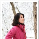 한일맛집 이미지