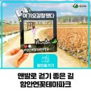함안연꽃테마파크 이미지