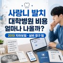 우리대학약국 | 사랑니 발치 대학병원 비용! 20대 치아보험 실비 청구 후기 및 팁