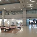 FLOPORT | 인천공항 제1여객터미널 꽃집 FLOPROT (위치/가격/후기)