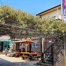 혜정 민박 이미지