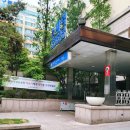 수내역떡집 산해향영광 모시떡 맛집 선물 및 답례 추천