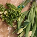 화림농장 이미지