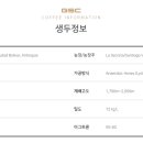 그린에어로빅 이미지