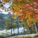 산인어탕칼국수 이미지