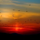 산따라물따라 이미지