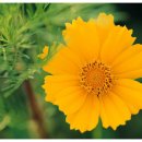 하양365한의원 | 잠실역한의원 최적의 방향으로 나오네요