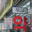 온누리뿌리약국 | 종로5가 약국 추천 온누리상품권 성지 우정약국
