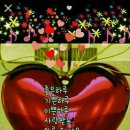홍실 이미지
