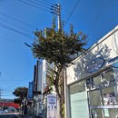 삼동면보건지소 이미지