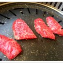 참좋은 한우 농장 Daum카페