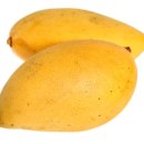 망고약국 이미지