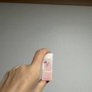 와이블룸 | 와이블룸 와이로지 속옷향수 후기