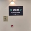 원주 가볼만한곳 추천｜소금산그랜드밸리 케이블카 타고 출렁다리까지 다녀온 후기 할인 꿀팁