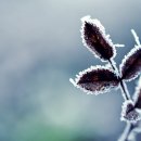 건강한 나를 위한 한끼 이미지