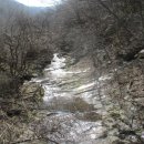 순천향매실마을 이미지