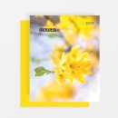 광장75호 이미지