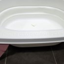 그루밍애견미용 | 헤디스그루밍 애견 미용테이블 강아지욕조 실사용 후기, 미끄럼방지 덕분에 목욕 걱정 끝!