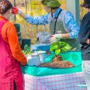 푸드정원 이미지