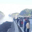 울릉서비스 이미지