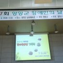 양양군 실내체육관 이미지