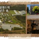 디앤제이컴퍼니 이미지