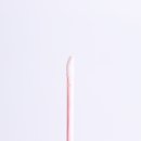 포아이즈 이미지