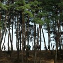 성산면 주민센터 이미지