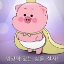내맘을훔친고기 이미지