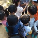 서농초등학교(병설) 이미지