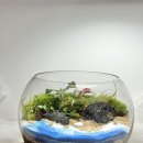 위례동주민센터 | 서울/송파 위례원데이클래스 마녀의숲 식물공방 아이와 함께하는 테라리움 만들기 키즈클래스