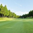 노송골프 이미지