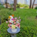 자연이 준 선물 향기 테라피 이미지