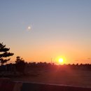 청도강변돌고래펜션 이미지