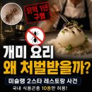 ♧ 2026년 7월 21일 신문을 통해 알게 된 것들 이미지