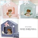 따스하개 이미지