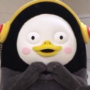 231206 홍천 겨울밤 추억만들기 콘서트 ( #이찬원) 후기